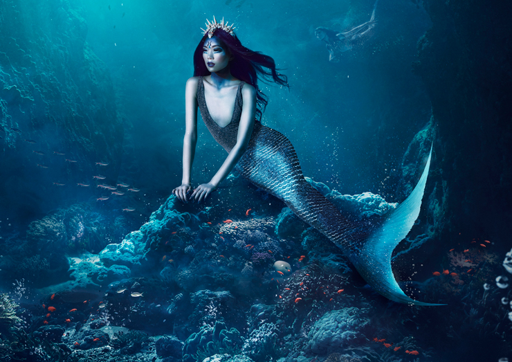 Perfidious Mermaid