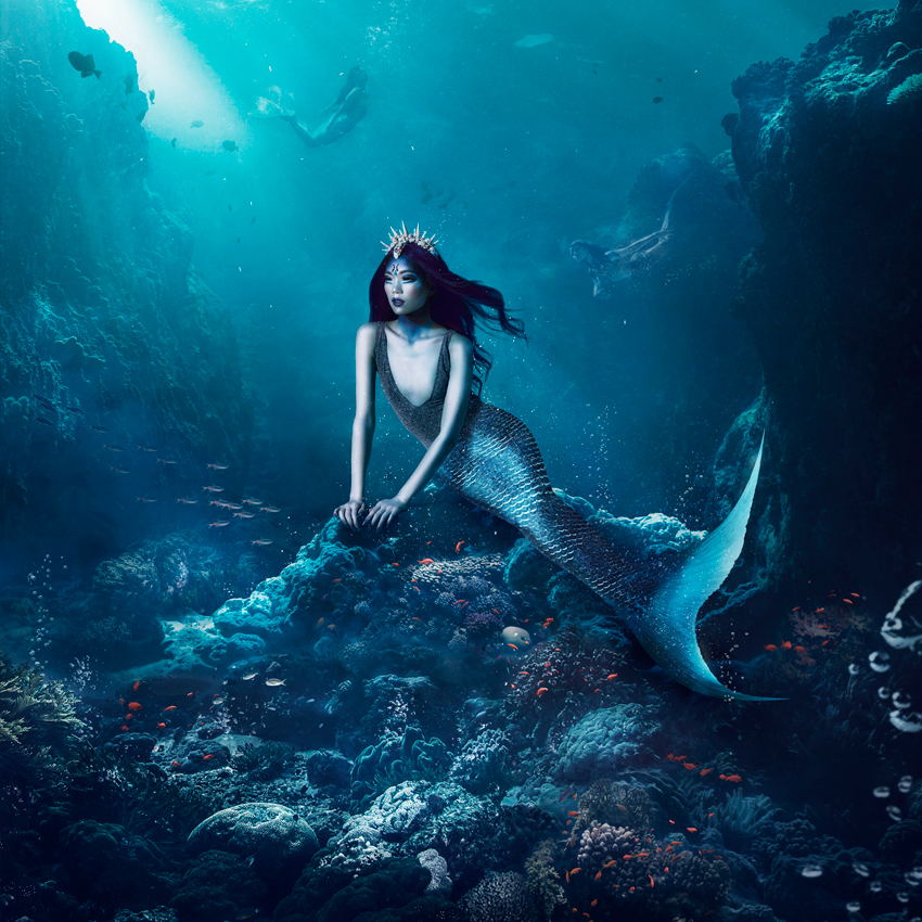 Perfidious Mermaid